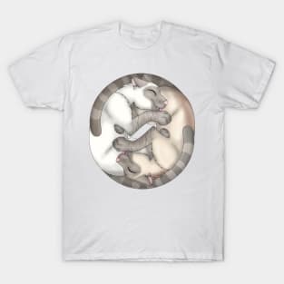 Yin-Yang Cats: Fawn Lynx Point T-Shirt